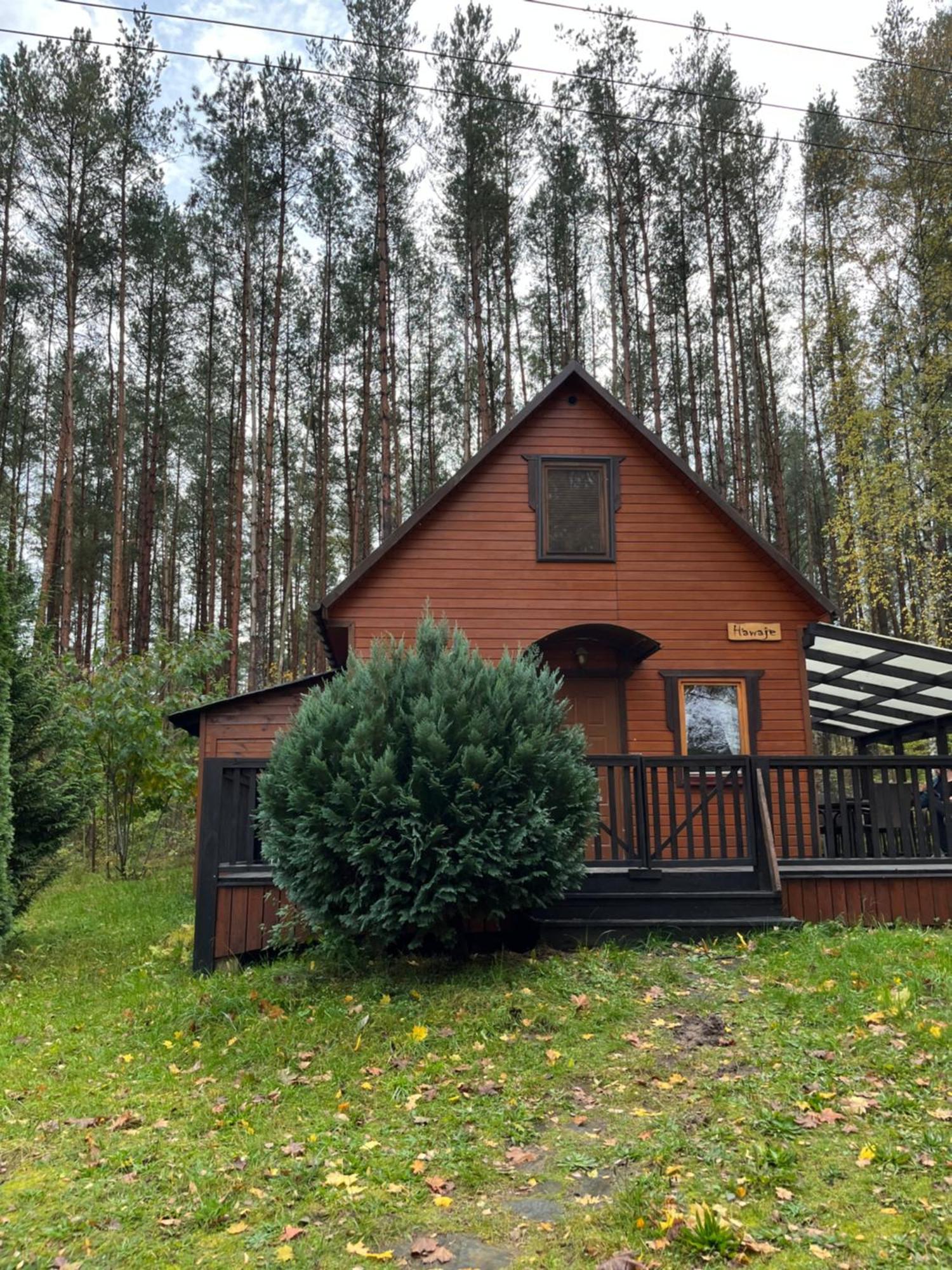Domek Caloroczny Hawaje Nad Jeziorem Kazub Cieciorka Zewnętrze zdjęcie